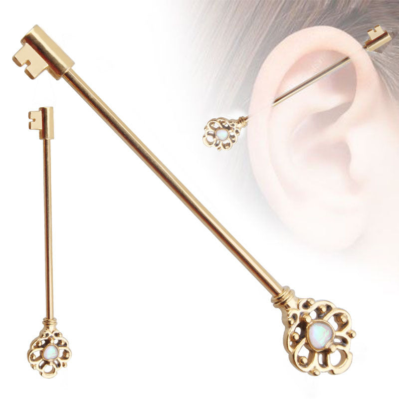 Unique Key Aobaoshi Industrial Barbell Ear Studs